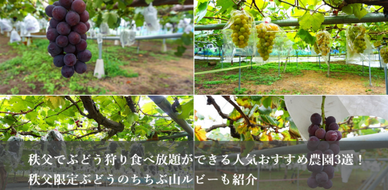秩父ぶどう狩り