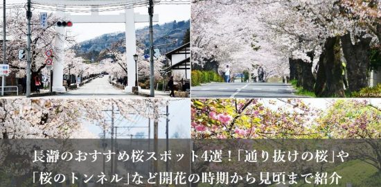 長瀞のおすすめ桜スポット4選!「通り抜けの桜」や「桜のトンネル」と呼ばれる桜並木など開花の時期から見頃まで紹介