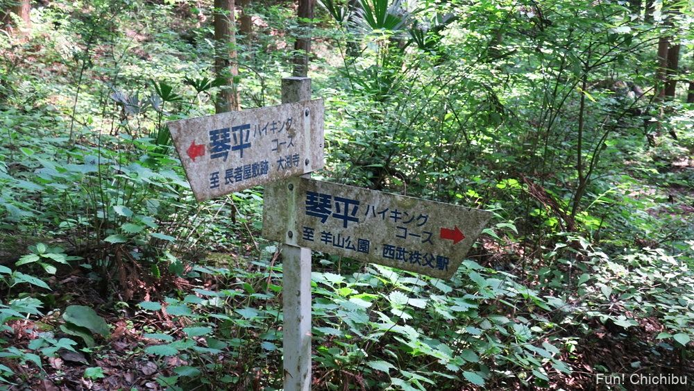 琴平ハイキングコース 武甲山登山口の碑付近の鳥居 目印