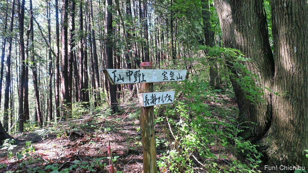 長瀞アルプス宝登山 坊山分岐へ向かう途中の標識2